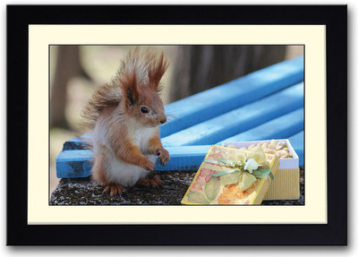 

Squirrel Fine Art Print(14 inch X 20 inch, Framed)