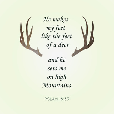 

Tallenge Christmas Collection - Psalms Deer Quote - Framed Photo Print For Gifting And Home And Office Décor On Photographic Paper(12 inch X 12 inch, Framed)