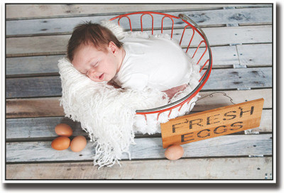 

Cute baby in Egg basket Fine Art Print(12 inch X 18 inch, Rolled)