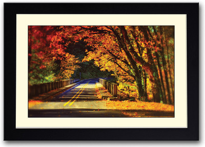 

Leaves falling on Bridge Fine Art Print(14 inch X 20 inch, Framed)