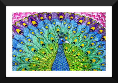 

Tallenge - Colorful Peacock Art - Premium Quality A3 Size Framed Poster Paper Print(17 inch X 12 inch, Framed)