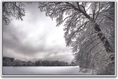 

Snow Covered Tree Paper Print(12 inch X 18 inch)