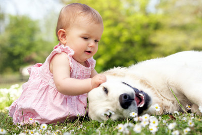 

Child's Love - Cute Girl Playing with Dog Paper Print(12 inch X 18 inch, Streched)