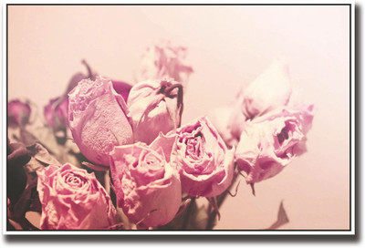 

Beautiful pink roses Fine Art Print(12 inch X 18 inch, Rolled)