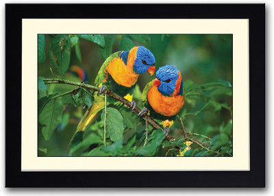 

Colourful Parrots Fine Art Print(14 inch X 20 inch, Framed)