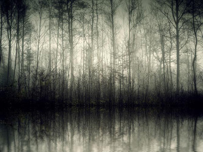 

Nature Fine Art Print(21 inch X 28 inch, Rolled)