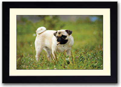 

Cute dog AFP0517 Fine Art Print(14 inch X 20 inch, Framed)