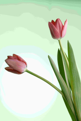 

Posterhouzz Flower Fine Art Print Poster Fine Art Print(18 inch X 12 inch, Rolled)