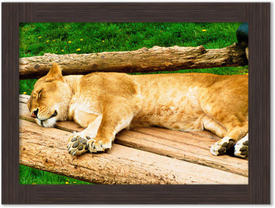 

God of Sale Nature Framed Poster Paper Print(13.5 inch X 10 inch, Box Packing)