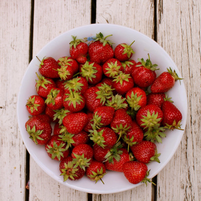 

Tallenge Christmas Collection - Strawberries - Framed Photo Print For Gifting And Home And Office Décor On Photographic Paper(12 inch X 12 inch, Framed)