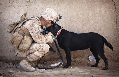 

Oshi - Caring Soldier Paper Print(12 inch X 18 inch, Stretched)