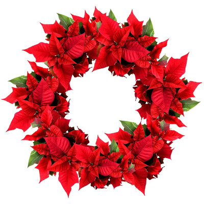 

Tallenge Christmas Collection - Christmas Coloured Wreath - Framed Photo Print For Gifting And Home And Office Décor On Photographic Paper(12 inch X 12 inch, Framed)
