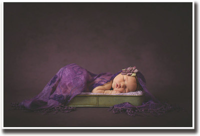

Cute newborn baby sleeping APS1645 Fine Art Print(12 inch X 18 inch, Rolled)