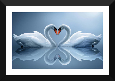 

Tallenge - Valentine’s Day Gift - Swan Love - Premium Quality A3 Size Framed Poster Paper Print(17 inch X 12 inch, Framed)