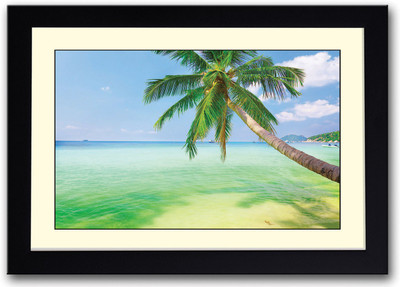 

Coconut Tree on the Beach Fine Art Print(14 inch X 20 inch, Framed)