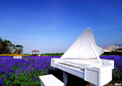 55% OFF on Piano Fine Art Print(20 inch X 28 inch, Rolled) 55% OFF on Piano Fine Art Print(20 inch X 28 inch, Rolled)