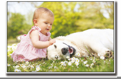 

Posterhouzz Cute baby girl with dog Fine Art Print(12 inch X 18 inch, Rolled)