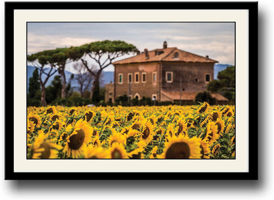 Sunflower fields Fine Art Print(10 inch X 14 inch, Framed)