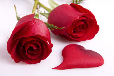 

Red Roses - Medium Size Ready To Frame Rolled Digital Art Print On Photographic Paper(24 inch X 18 inch, Rolled)