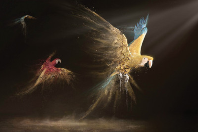 

parrot Photographic Paper(18 inch X 12 inch, Rolled)