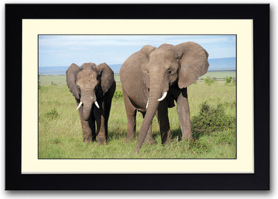 

Elephants Fine Art Print(14 inch X 20 inch, Framed)