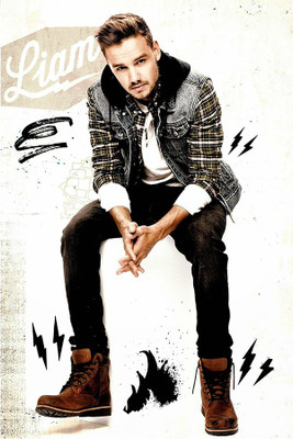 

Posterhouzz One Direction - Liam Poster Fine Art Print(18 inch X 12 inch, Rolled)
