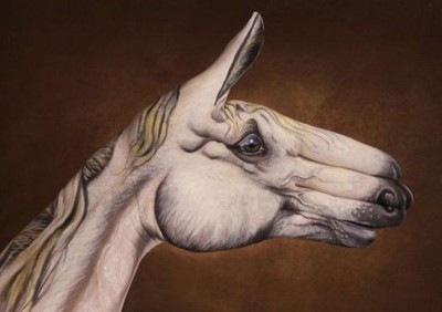 

Posterhouzz Animal Hand Painting Fine Art Print Poster Fine Art Print(12 inch X 18 inch, Rolled)