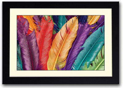 

Colored Feathers Fine Art Print(14 inch X 20 inch, Framed)