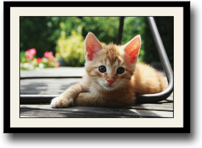 

cute cat Fine Art Print(10 inch X 14 inch, Framed)