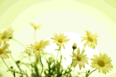 

Posterhouzz Flower Fine Art Print Poster Fine Art Print(12 inch X 18 inch, Rolled)