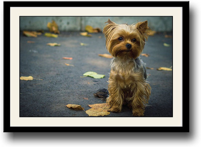 

Cute dog on street Fine Art Print(10 inch X 14 inch, Framed)