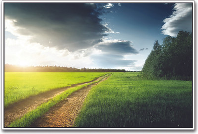 

Track Through Farm Paper Print(12 inch X 18 inch)