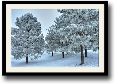 

Snow covered trees Fine Art Print(10 inch X 14 inch, Framed)