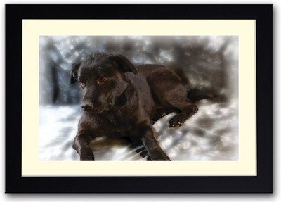 

Black dog Fine Art Print(14 inch X 20 inch, Framed)