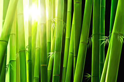 

Feng Shui Bamboo Art Canvas Painting Canvas Art(16 inch X 24 inch, Rolled)