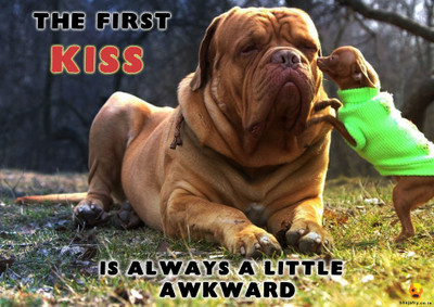 

Bheja Fry Poster The First Kiss (29.7 cm X 42 cm) Paper Print(11.69 inch X 16.53 inch, Rolled)