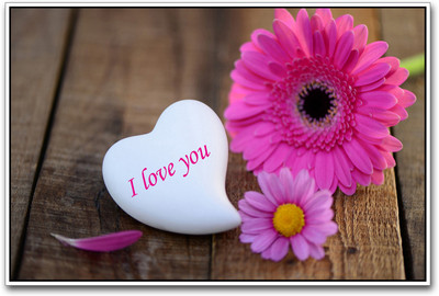 

I love you Paper Print(12 inch X 18 inch)