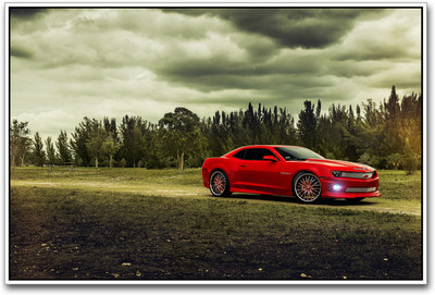 

Car Photographic Paper(12 inch X 18 inch)