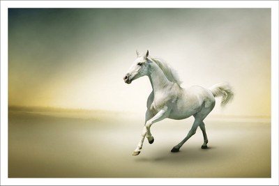 

WHITE HORSES B 12X18 INCHES Fine Art Print(12 inch X 18 inch)