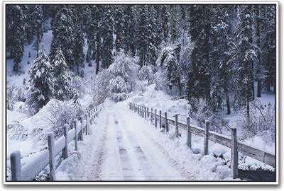 

Snow Covered Bridge Paper Print(12 inch X 18 inch)