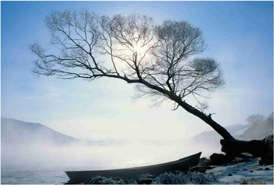 

Nature Paper Print(19 inch X 13 inch, Rolled)