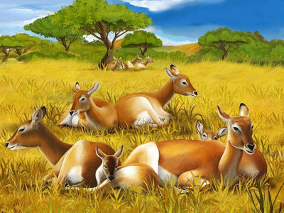 

Nature Fine Art Print(36 inch X 48 inch, Rolled)