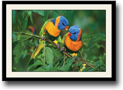 

Colourful parrots Fine Art Print(10 inch X 14 inch, Framed)