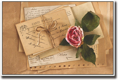 

Old Letter with pink rose Fine Art Print(12 inch X 18 inch, Rolled)