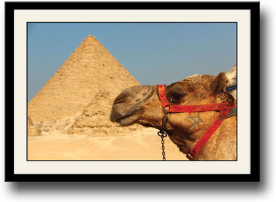 

Camel and pyramid in Egypt Fine Art Print(10 inch X 14 inch, Framed)