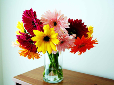 

Posterhouzz Flower Fine Art Print Poster Fine Art Print(12 inch X 18 inch, Rolled)