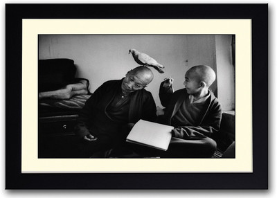 

Pigeon On Monk'S Head Fine Art Print(14 inch X 20 inch, Framed)