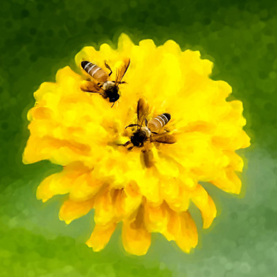 50% OFF on Colourful Flowers 105 Paper Print(40 inch X 40 inch)