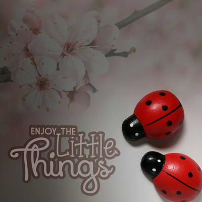 

Oshi - Enjoy the Little Things Paper Print(12 inch X 18 inch, Stretched)