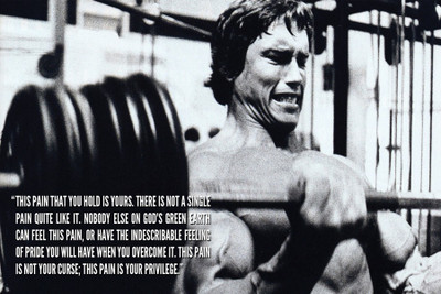 

Arnold Gym Quote Paper Print(12 inch X 18 inch, Rolled)